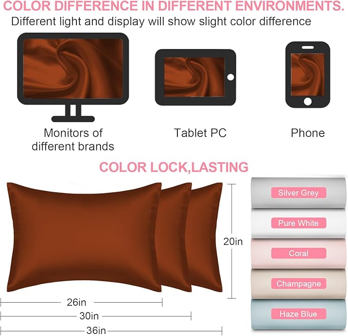 Mulberry Silk Pillow Cases 2 Pack Queen Size 20x30 Inches with Hidden Zipper, Ultra Smooth and Soft Breathable Cooling Silk Satin Pillowcase Set of 2, Better for Hair and Skin, Gifts for Women Men