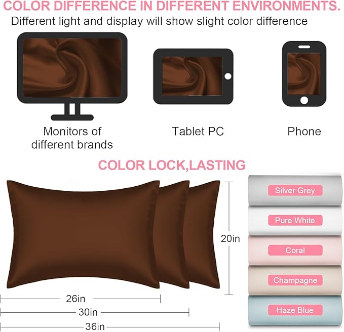 Mulberry Silk Pillow Cases 2 Pack Standard Size 20x26 Inches with Hidden Zipper, Ultra Smooth and Soft Breathable Cooling Silk Satin Pillowcase Set of 2, Better for Hair and Skin, Gifts for Women Men