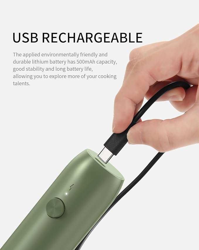 CIRCLE JOY Rechargeable Milk Frother Handheld with Stand, Coffee Frother Wand Drink Mixer with Dual Spring Whisk for Coffee, Cappuccino, Lattes, Frappe, Matcha and Hot Chocolate, Green