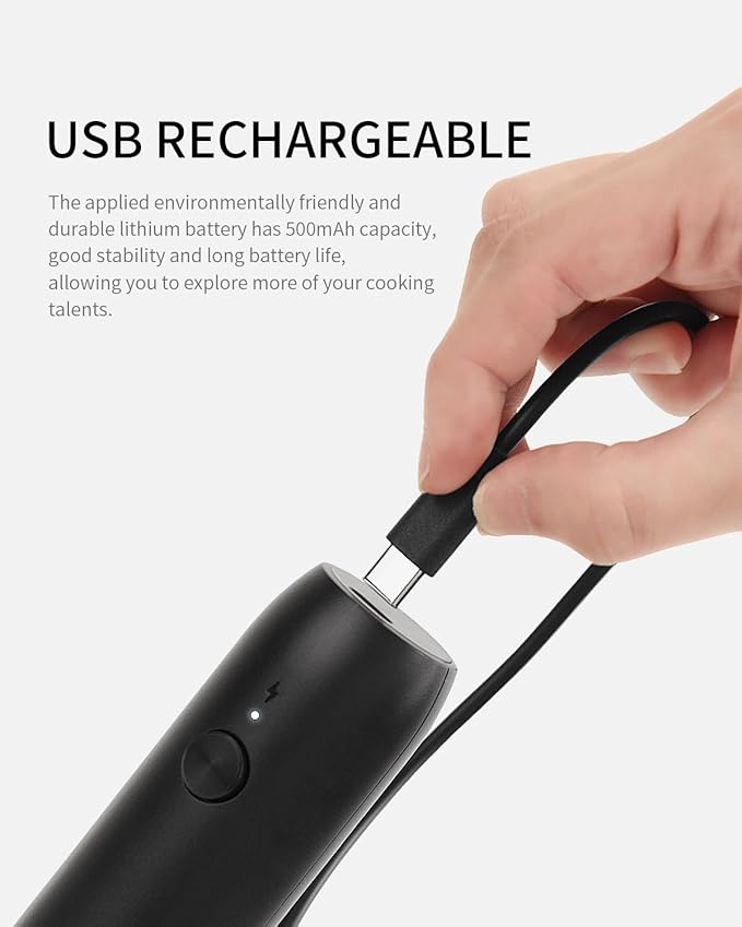 CIRCLE JOY Rechargeable Milk Frother Handheld with Stand, Coffee Frother Wand Drink Mixer with Dual Spring Whisk for Coffee, Cappuccino, Lattes, Frappe, Matcha and Hot Chocolate, Black
