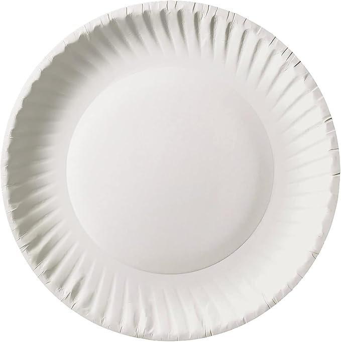 Bluetable 9 Inch Paper Plates Bulk – 500 Count - Uncoated White 9” Dinner Plate Pizza Plate Decorative Craft Paper Plates Disposable Plates [500 Pack/Case]