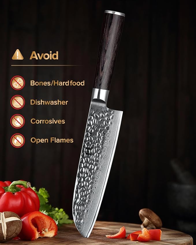 XINZUO Kitchen Cutting Knife Set of 5 Piece,67 Layers Hammered Damascus Blade,Razor Sharp Japanese-Style Chef Knife Set with Pakkawood Handle,Gift Box