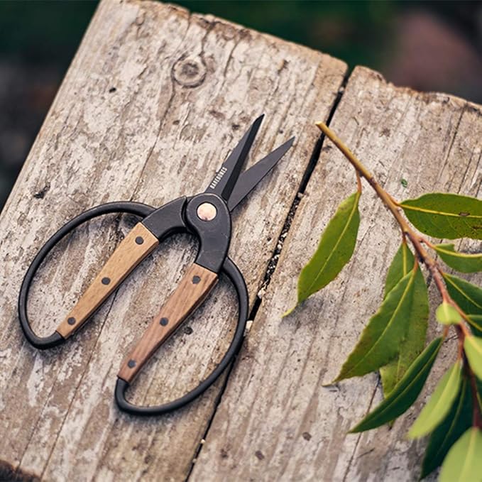 Barebones Garden Scissors - Walnut Scissors - Garden Supplies and Indoor Plant Accessories - Plant Shears with Wide Handles - Comfortable Fit Trimming Shears (Small)