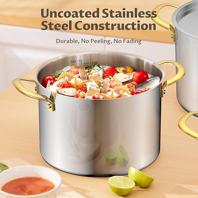BEZIA 6 Quart Stainless Steel Stockpot with Lid, Induction Compatible Cooking Pots, Triple-Layer Bottom for Even Heat, Pasta & Soup Pot for Cooking, Boiling, Stewing, Dishwasher Safe