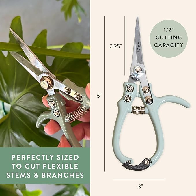 Modern Sprout Pruning Shears - Herb Snipping Scissors- Lightweight Gardening Tools W/Easy Lock - Flower Cutter Garden Shears - Carbon Steel Blade + Reusable Holster (Sage, 1-Pack)