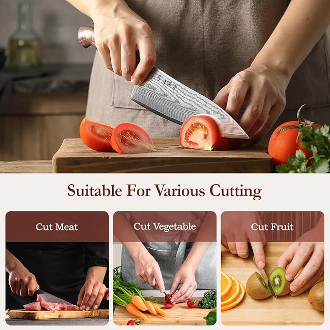 HEZHEN Damascus Chef Knife with Sheath, 8.3 Inches, 67 Layers Dmascus Steel Japanese Kitchen Knifefor Professional Chefs and Family, Micarta Handle,Gift Ready