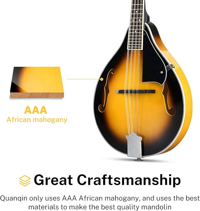 Donner A Style Mandolin Instrument Sunburst Beginner Adult Acoustic Mandolin Musical Instrument Mahogany 8 String, Bundle With Tuner String Bag Guitar Picks,DML-1