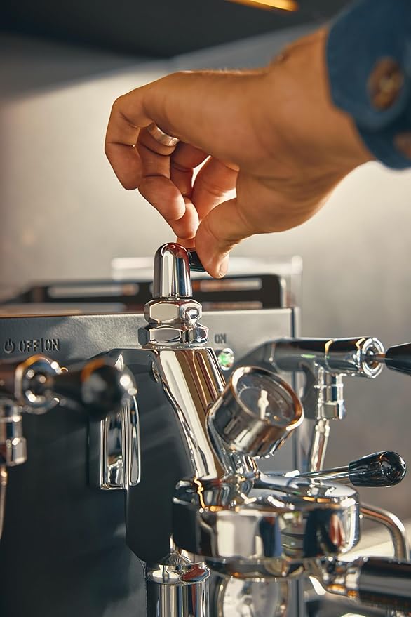 Diletta Alto Espresso Machine with Flow Control | Dual Boiler | PID | Shot Timer | Adjustable OPV | (Stainless Steel)