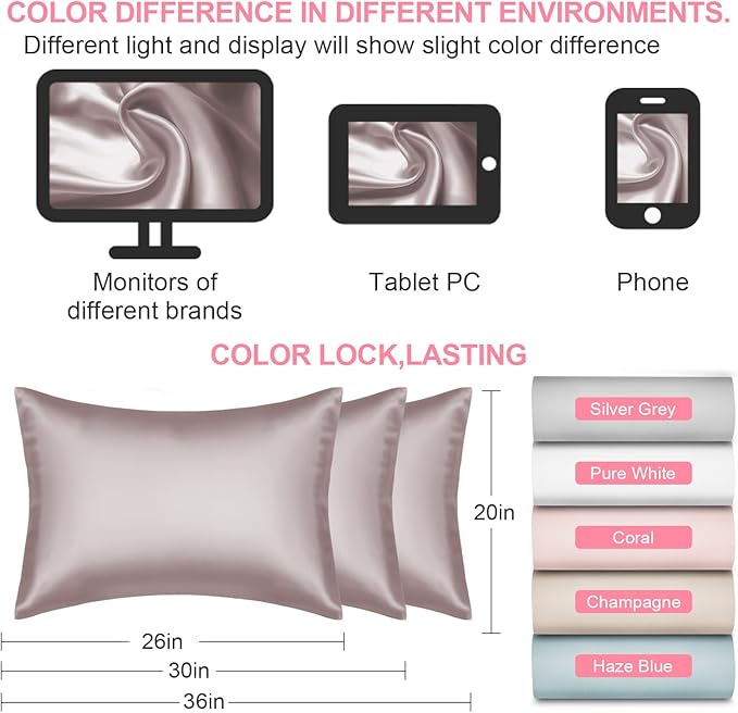 Mulberry Silk Pillow Cases 2 Pack Queen Size 20x30 Inches with Hidden Zipper, Ultra Smooth and Soft Breathable Cooling Silk Satin Pillowcase Set of 2, Better for Hair and Skin, Gifts for Women Men