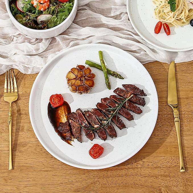 GZG Ceramic Dinner Plates Set of 4, 10.25 Inch Speckled Stoneware Plates with Clay-Tone Base, Large Ceramic Plates for Steak, Salad, Pizza, Microwave Oven Dishwasher Safe