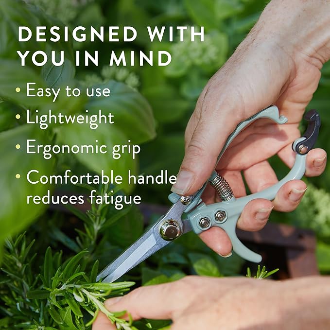 Modern Sprout Pruning Shears - Herb Snipping Scissors- Lightweight Gardening Tools W/Easy Lock - Flower Cutter Garden Shears - Carbon Steel Blade + Reusable Holster (Chartreuse, 1-Pack)