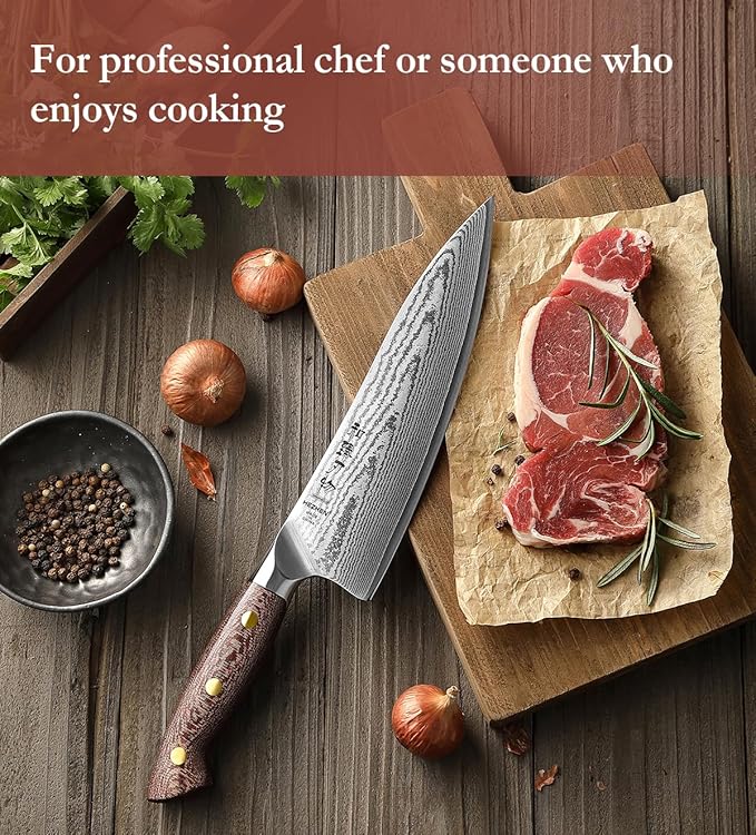 HEZHEN Damascus Chef Knife with Sheath, 8.3 Inches, 67 Layers Dmascus Steel Japanese Kitchen Knifefor Professional Chefs and Family, Micarta Handle,Gift Ready