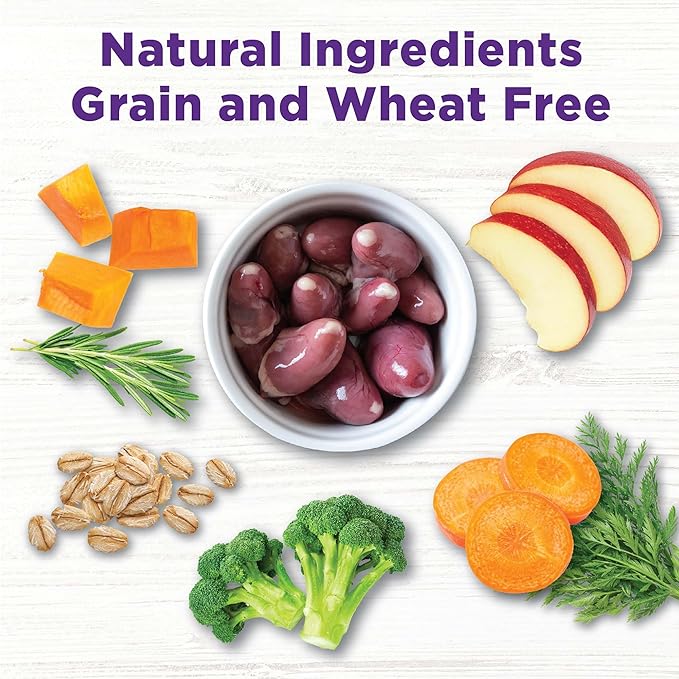 Wellness Bowl Boosters, Dog Food Topper for Small, Medium, & Large Breeds, Grain Free, Natural, Freeze Dried, Digestive Health Chicken, 4 Ounce Bag (Pack of 1)