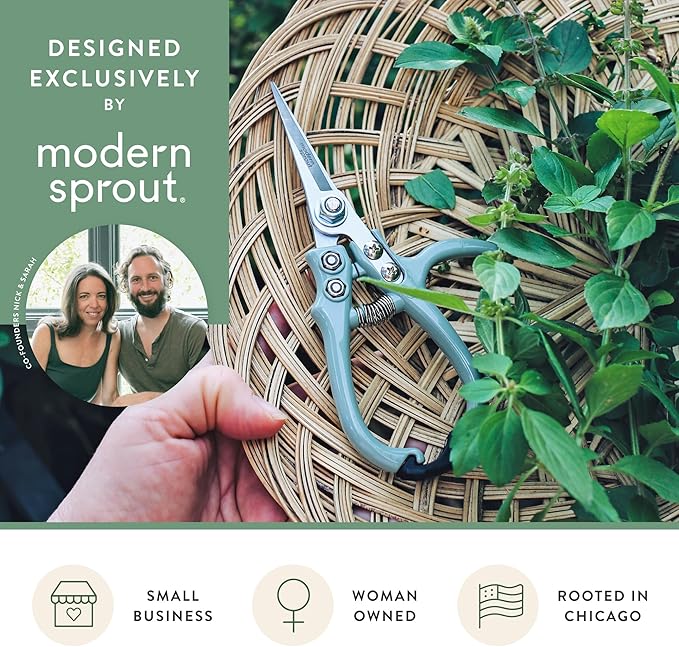 Modern Sprout Pruning Shears - Herb Snipping Scissors- Lightweight Gardening Tools W/Easy Lock - Flower Cutter Garden Shears - Carbon Steel Blade + Reusable Holster (Lavender, 1-Pack)