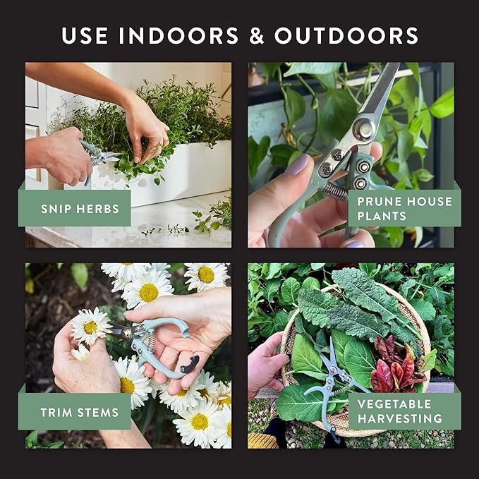 Modern Sprout Pruning Shears - Herb Snipping Scissors- Lightweight Gardening Tools W/Easy Lock - Flower Cutter Garden Shears - Carbon Steel Blade + Reusable Holster (Chartreuse, 1-Pack)