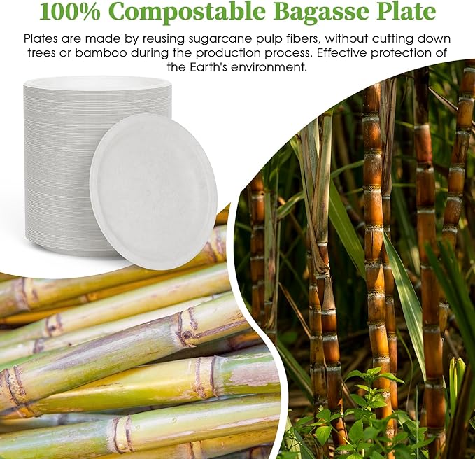 ECOLipak 6 Inch Disposable Compostable Small Paper Plates, 500 Pack Recycled Sugarcane Bagasse Biodegradable Heavy Duty Mini Dinner Appetizer Cake Dessert Plates for Party(White)