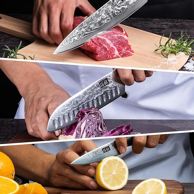 SHAN ZU Damascus Knife Set, Japanese Super Steel 3 PCS Damascus High Carbon Professional Ultra-Sharp Kitchen Chef Knife Set with G10 Handle Gift Box