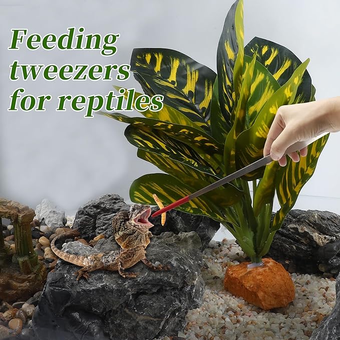 Reptile Feeding Tongs, Stainless Steel Lizard Feeding Tongs, Aquarium Straight Feeding Tweezers for Reptiles with Rubber Tip, Terrarium Feeding Tongs for Gecko, 10.63" L, Black