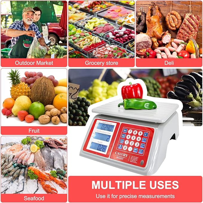 CAMRY Waterproof Commercial Food Scale IPX7 66lb / 30kg Digital Price Computing Meat Produce Weight Scale with White Backlight LCD for Farmers Market, Seafood, Rechargeable