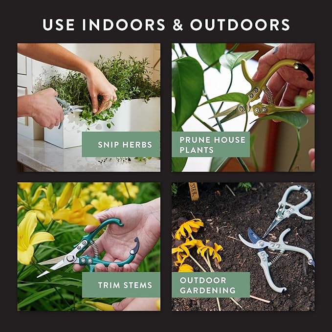 Modern Sprout Pruning Shears - Herb Snipping Scissors- Lightweight Gardening Tools W/Easy Lock - Flower Cutter Garden Shears - Carbon Steel Blade + Reusable Holster (Sage, 1-Pack)
