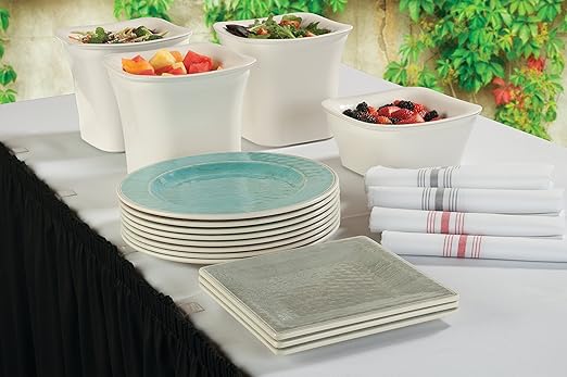 Carlisle FoodService Products Grove Reusable Plastic Plate Salad Plate with Rim for Home and Restaurant, Melamine, 9 Inches, Aqua, (Pack of 12)