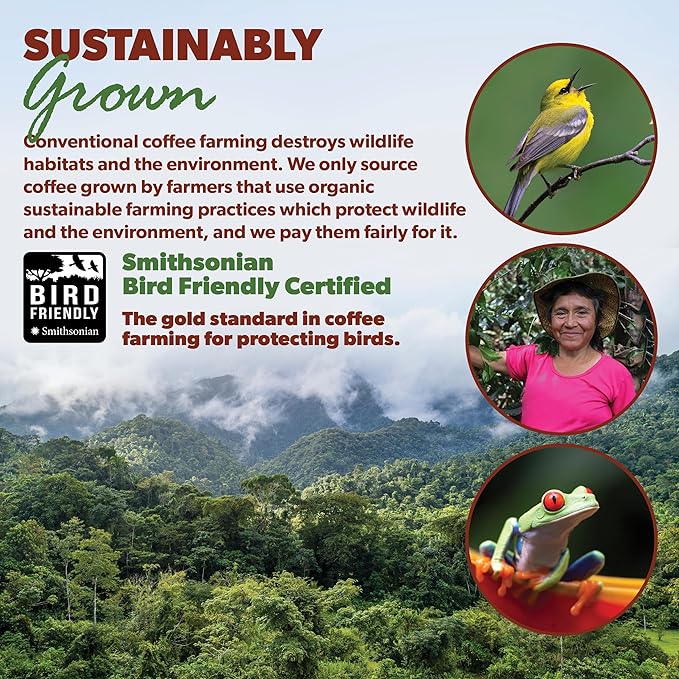 Low Acid Organic Coffee – Whole Bean, Mold-Free & Stomach Friendly by Java Planet, Colombian Single Origin Coffee, Medium Dark Roast, Smooth Full Flavored, 1LB Bag